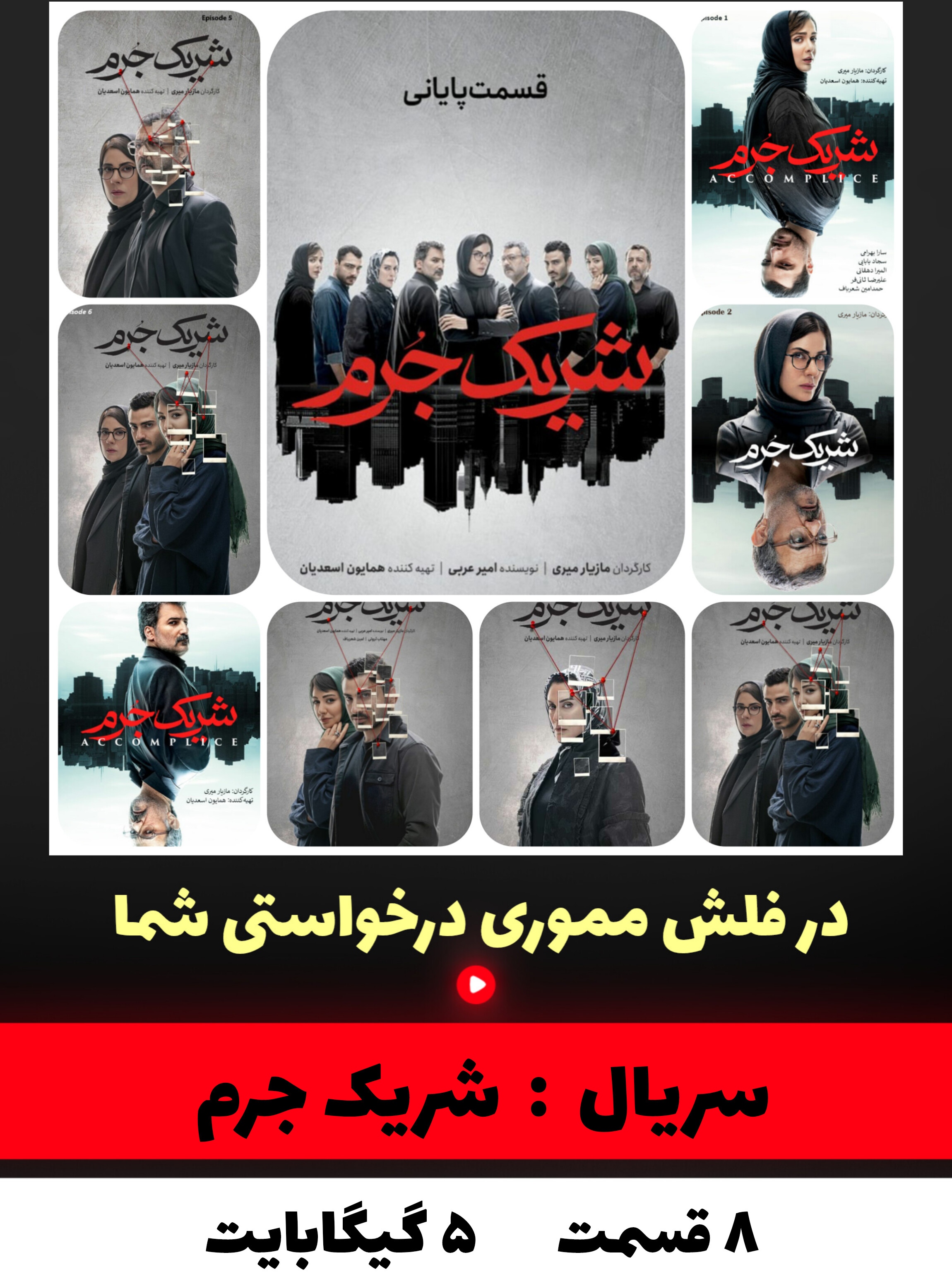 سریال شریک جرم