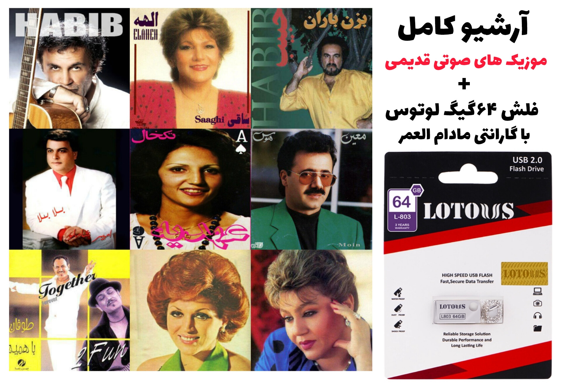 آرشیو موزیک‌های صوتی قدیمی ایرانی روی فلش ۶۴ گیگ