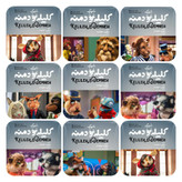 تصویر سریال کودکانه شهرک کلیله و دمنه